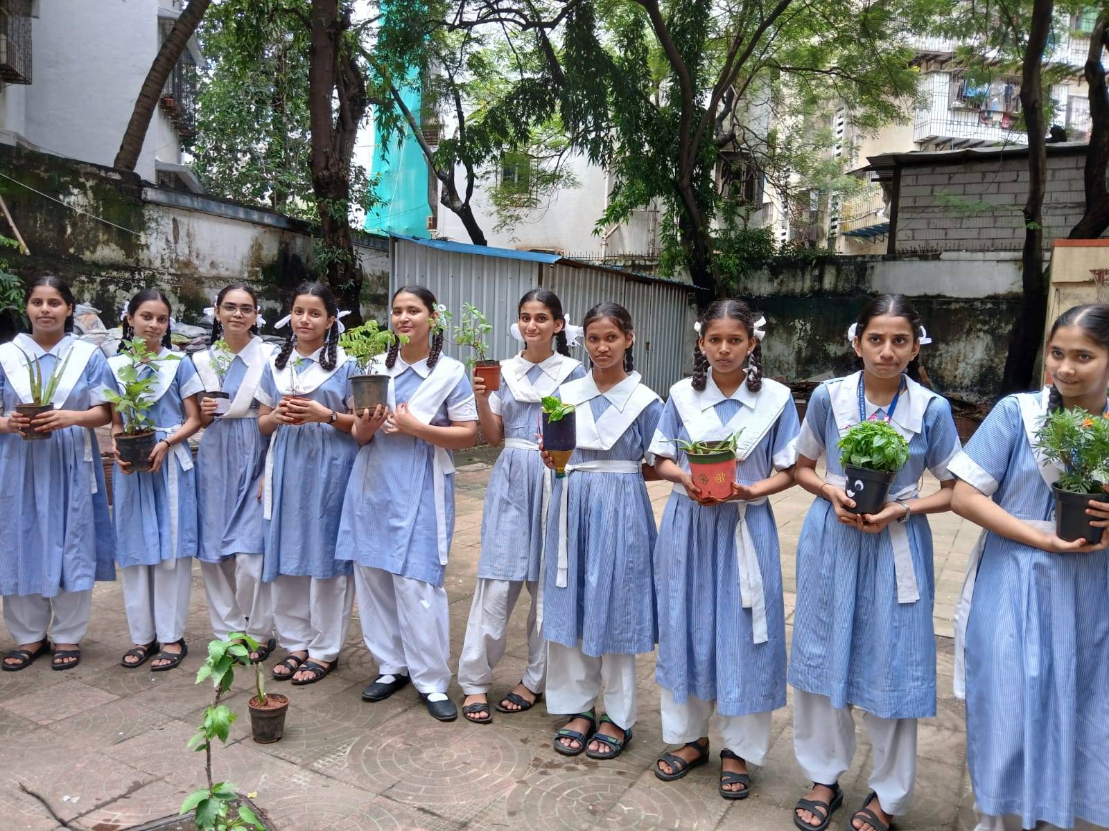 School Activity